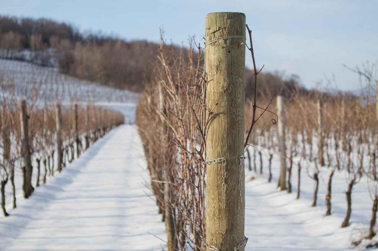 Il Roncal Wine Resort - For Wine Lovers Cividale del Friuli Exterior foto