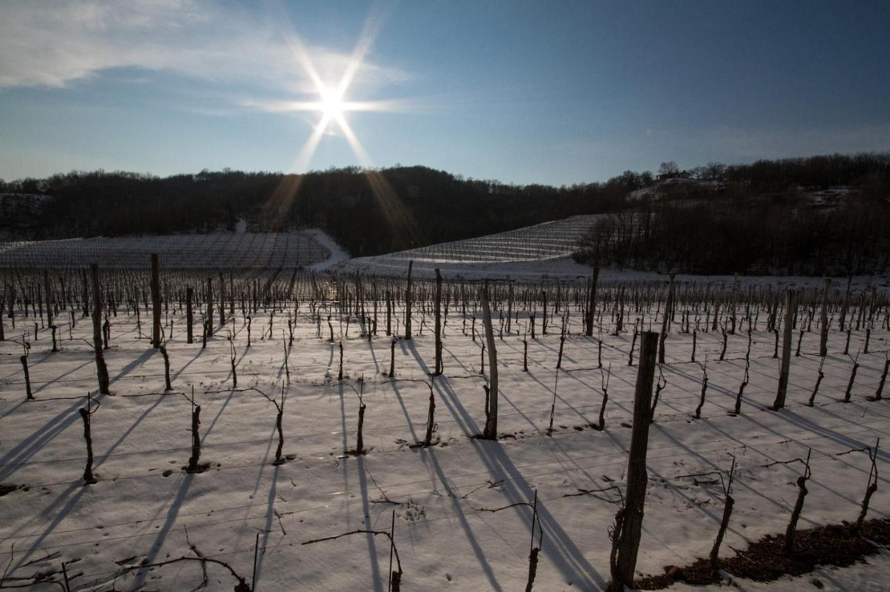 Il Roncal Wine Resort - For Wine Lovers Cividale del Friuli Exterior foto